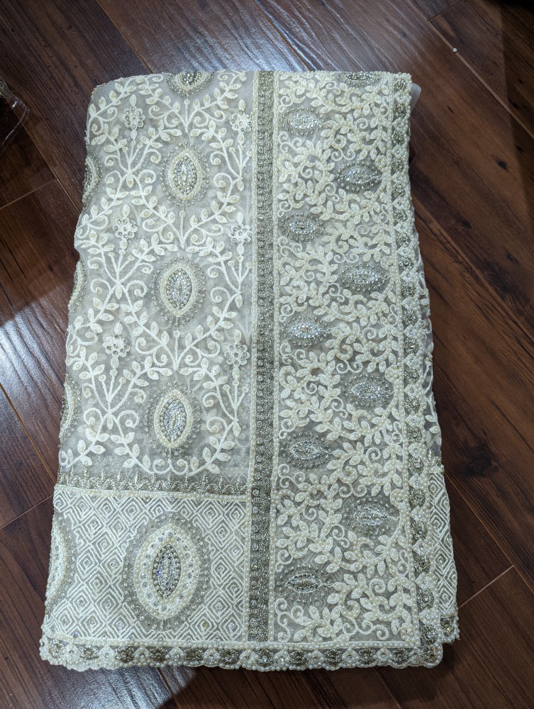 Fancy Net sari
