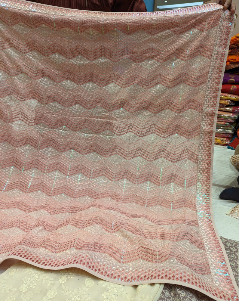  Fancy sequin sari