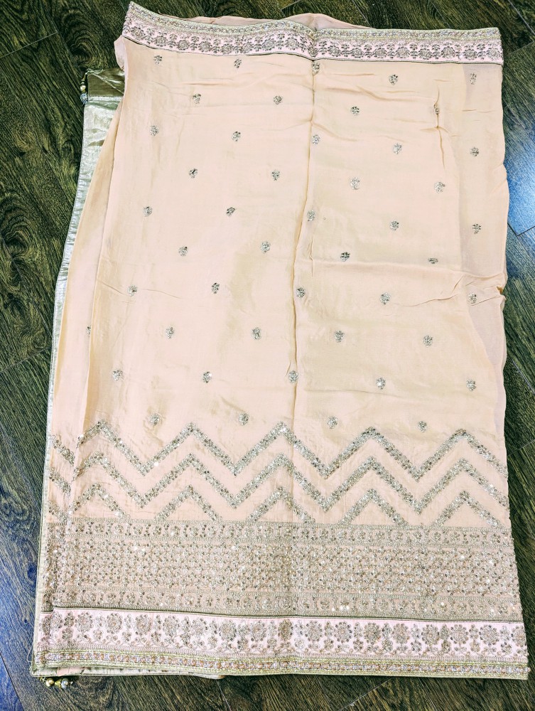 Fancy work sari 